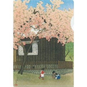 ~jNAt@C q\ t̂Rr A6 c^ t@C NAz_[ 쐣b A[gObY GR GRf ސ t  