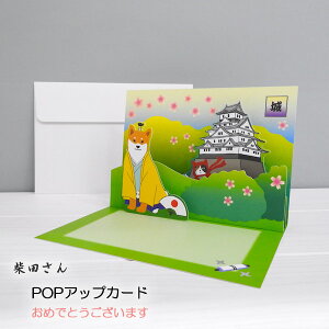 ČEēc̃|bvAbvO[eBOJ[h{\镗iɂ܂ēc