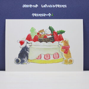 CXg[^[cȂ΂ʂƃNX}X|XgJ[hENX}XP[L