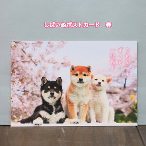 t̗DiFČƂƂɂ͂܂Č|XgJ[hꂩƈꏏ