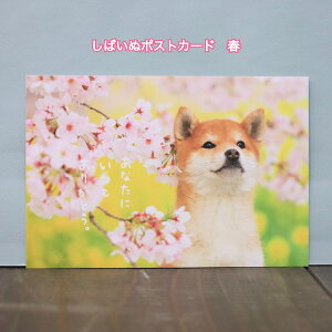 t̗DiFČƂƂɂ͂܂Č|XgJ[hȂɂ肪Ƃ