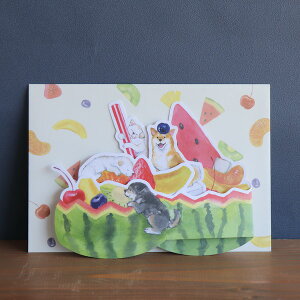 炵ČƂcĉu΂ʂƉāvV[YBOXO[eBOJ[h΂ʂƃXCJĂď锠^^CvO[eBOJ[h,āAXCJAt[c