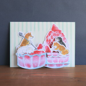 炵ČƂcĉu΂ʂƉāvV[YBOXO[eBOJ[h΂ʂƂXĂď锠^^CvO[eBOJ[h,āAXAXC[c