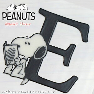 PEANUTSqs[ibcrSNOOPYqXk[s[rMɋ\Ă͂XebJ[At@xbgE
