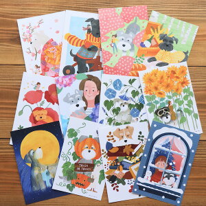 ANAN.xkyotobunguyaqIWifUCr|XgJ[h12Zbg(1ÑRv[gZbg)ViEU[,schnauzer,E,Vi,~jVi,|XgJ[h