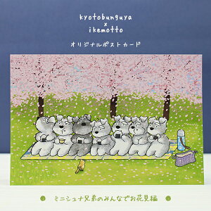 ikemotto x kyotobunguya|XgJ[hqIWifUCr~jViẐ݂ȂłԌҁE3ViEU[EschnauzerEEEEEsakuraE~jVi