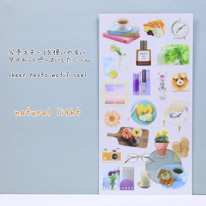 ʐ^`[t_CJbgs[XɂV[sheer phontoV[Y`[tV[Enatural light