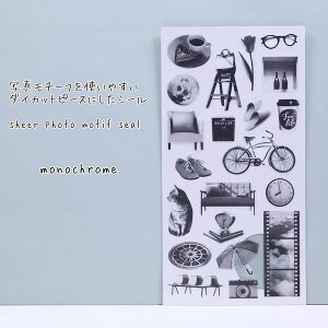 ʐ^`[t_CJbgs[XɂV[sheer phontoV[Y`[tV[Emonochrome