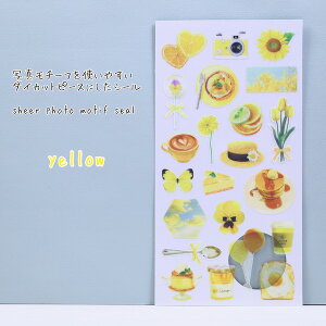 ʐ^`[t_CJbgs[XɂV[sheer phontoV[Y`[tV[ECG[