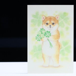 Ɖԑ|XgJ[hCXg[^[EĔLюČƃN[o[