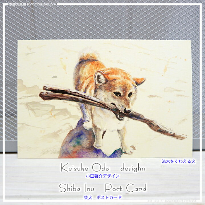 楽天市場 Keisuke Odaデザイン柴犬ポストカード流木をくわえる犬 京都文具屋