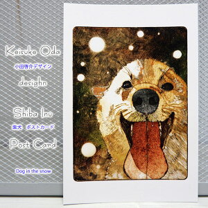 Keisuke OdafUCČ|XgJ[hDog in the snow