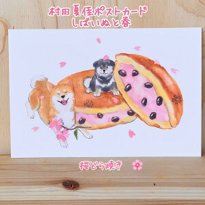 Ȃƈ炵ČςcȂt΂ʃ|XgJ[hǂĂ