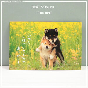 t̗DiFČƂƂɂ͂܂Č|XgJ[hꏏɂĂĂ肪Ƃ