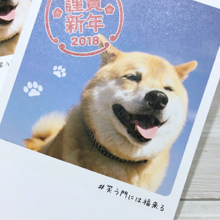 楽天市場 柴犬まるの年賀状3枚入りインスタグラムで世界的に人気の柴犬 まる 年賀状 青空 京都文具屋 楽天市場 柴犬まるの年賀状3枚入りインスタグラムで世界的に人気の柴犬 まる 年賀状 青空 京都文具屋