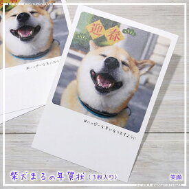 柴犬まるの年賀状3枚入りインスタグラムで世界的に人気の柴犬「まる」年賀状・笑顔