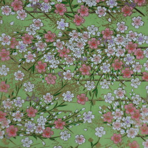 yIׂ邨荠azyԕ-79zw^Cv1@30cm×45cmi1jxw^Cv2@10cmpi10jx