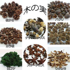 木の実 ドライフラワー クラフト用パーツ 自然素材 クリスマス装飾 工作 手芸