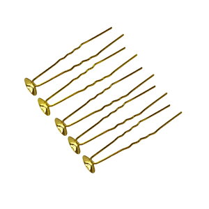 p[c@܂ݍ׍H@ԍ@Us@r[Y@p[c@ANZT[f