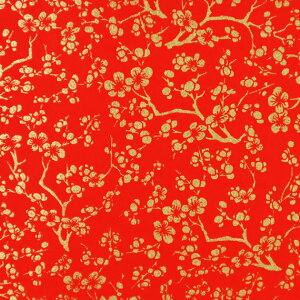yIׂ邨荠azyԕ-23zw^Cv1@30cm×45cmi1jxw^Cv2@10cmpi10jx