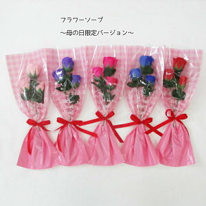 �t�����[�\�[�v�y��̓�����o�[�W�����z�y1���z�u�₩�ȐF��������Y�����Ԃ̐Ό��I�I�@�ԑ��@�M�t�g�@�\�[�v�t�����[