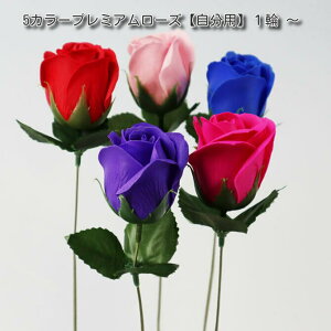 \[vt[@5J[v~A[Yypzy1{zyt[\[vzɁI@gŃbsO@AWI@v[g͂Ă܂A̕lŉ