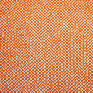 yIׂ邨荠azŷ-4zw^Cv1@30cm×45cmi1jxw^Cv2@10cmpi10jx