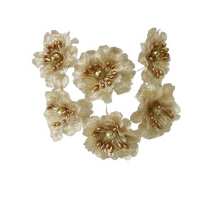  sbNt[ t[`[ty֌a5cm zy6{zԁ@nhCg@fRp[c@|@ANZT[p[c@NX}X