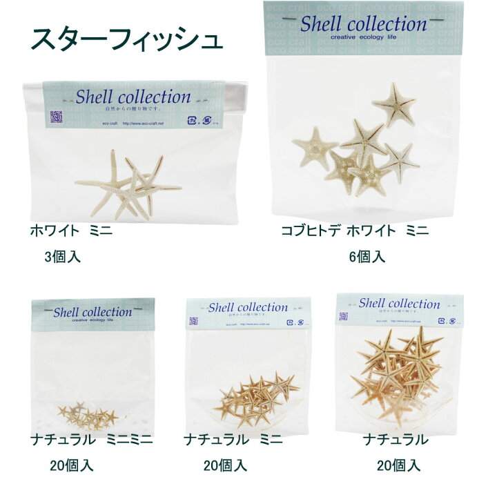 楽天市場】貝殻【スターフィッシュ（ヒトデ）】 ミニ貝殻 パーツ 