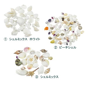 Lk@VFp[cy120gz@~bNXVF@Ntg@ԍށEfBXvCpɐlC܂B