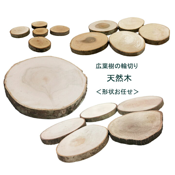 楽天市場】広葉樹の輪切り S（5枚入）、M（5枚入）、L（5枚入）、LL（1 