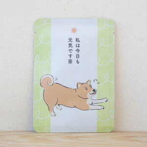 【私は今日も元気です茶|ごあいさつ茶】 プチギフトやお土産にもぴったりな「ごあいさつ茶」シリーズ 日本茶専門店の京都・宇治田原産玉露ティーバッグ1包入/お茶 日本茶 玉露 かわ