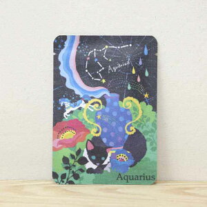 v`Mtg  zO`JyAquariusirjbzO`JbageB[obO1zv`Mtg₨yYɂ҂ȁuvV[Y@{X̋sEF