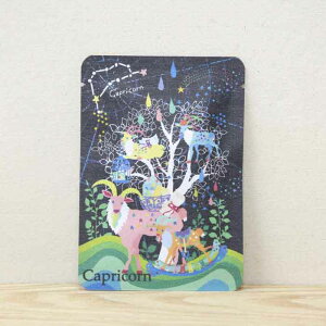 v`Mtg  zO`JyCapricorniRrjbzO`JbageB[obO1zv`Mtg₨yYɂ҂ȁuvV[Y@{X̋sEF