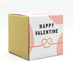 yHAPPY VALENTINEbo^Cbzv`Mtg₨yYɂ҂ȁuvV[Y@sEFcY̍ʘI eB[obO5^v`Mtg 킢  o^C 