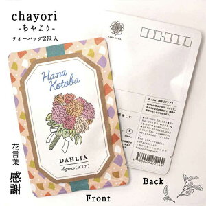 Ԍt chayori _AbsY ق eB[obO2 ؎ő邨̂ւ 킢|XgJ[hEnKL  ԕ v`Mtg ӃMtg
