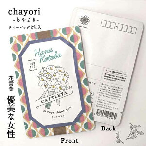 Ԍt chayori JgAbsY Ē eB[obO2 ؎ő邨̂ւ 킢|XgJ[hEnKL  ԕ v`Mtg ӃMtg
