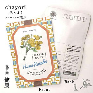 Ԍt chayori }[S[hbsY ق eB[obO2 ؎ő邨̂ւ 킢|XgJ[hEnKL  ԕ v`Mtg ӃMtg