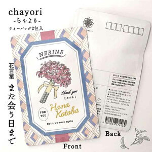 花言葉 chayori ネリネ|京都産 玉露 ティーバッグ2包入 切手で送れるお茶のお便り かわいい美味しいポストカード・ハガキ おしゃれ 花柄 プチギフト 感謝ギフト