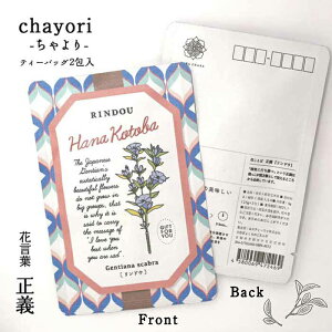 Ԍt chayori hEbsY Ē eB[obO2 ؎ő邨̂ւ 킢|XgJ[hEnKL  ԕ v`Mtg ӃMtg