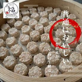 肉汁溢れる手包み生焼売8個入。「普通に美味しい」を超えた至高の味を追求し包みたて15分で急速封印した職人の逸品、毎日の食卓を彩る京都伏見工房から直送【毎週月曜50パック限定】【京都点心福❘しゅうまい奉行】