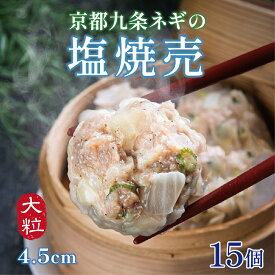 【ランキング4冠達成】手作りジャンボ塩 シュウマイ 九条ねぎ 焼売 大きい 通常の1.5倍（45g×15個）口中に肉汁溢れる！ 送料無料 ギフト 惣菜 中華 点心 お取り寄せ グルメ しゅうまい おつまみ 食品 冷凍 お弁当 御歳暮 お歳暮 お年始