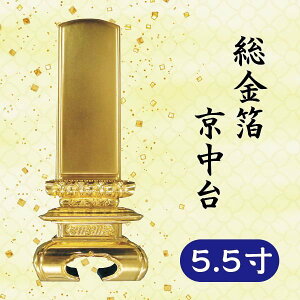 ʔv   5.5