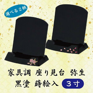 yIׂ2EsvzƋ Y^茩 퐶 h G 3 (9cm) ߋ