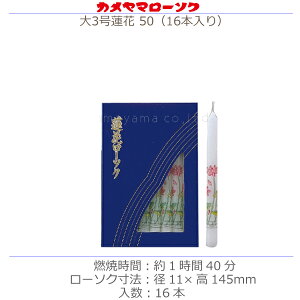 yJ}[\Nz3@ 50 [15{]ފ ~ @  dp