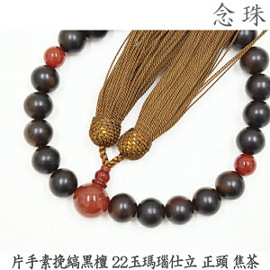 yȍhz16-51 ЎfҎȍh 22d  Œ  jp O