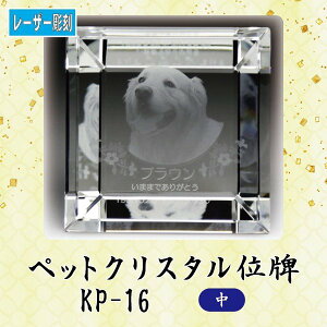 y[U[zNX^ybgʔv KP-16 ()ybg A NX^ ʐ^