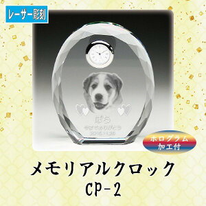 y[U[zANbN CP-2ybg A NX^ ʐ^ v ybgʔv zO