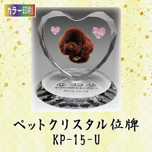 yJ[zNX^ybgʔv KP-15-U ybg A NX^ ʐ^