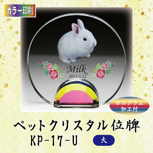 yJ[zNX^ybgʔv KP-17-U ()ybg A NX^ ʐ^